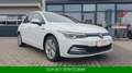 Volkswagen Golf 1.5TSI Style, 7.500 km*Navi*Kamera*17"*ACC* Weiß - thumbnail 12