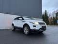 Land Rover Range Rover Evoque Range Rover Evoque TD4 Pure Bianco - thumbnail 6