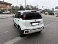 Fiat Panda Panda 1.0 firefly hybrid 70CV Cross Bianco - thumbnail 5
