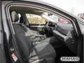 Volkswagen Golf VIII 1.0 TSI LIFE Navi LED Keyless 6-Gang Grau - thumbnail 14