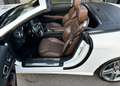 Mercedes-Benz SL 500 AMG-Line *Vollaustattung* Grau - thumbnail 21