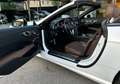 Mercedes-Benz SL 500 AMG-Line *Vollaustattung* Grau - thumbnail 23