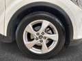 Toyota C-HR I 1.8h Business 2wd e-cvt Weiß - thumbnail 6