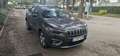 Jeep Cherokee 2.2 Limited FWD 9AT Gris - thumbnail 14