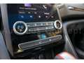 Renault Megane RS Ultime TCe 300 EDC/Pano/HUD/Kamera/ACC Jaune - thumbnail 25