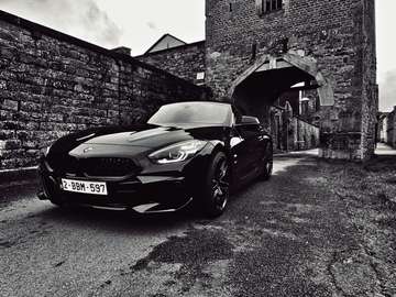 Z4 2.0iAS sDrive20i (EU6AP)