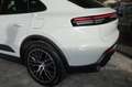 Porsche Macan Basis Electric elektr.AHV, HD-MATRIX, Komfortzuga Weiß - thumbnail 6