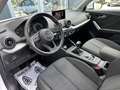 Audi Q2 30 TDI Kamera LED Advanced Key Blanco - thumbnail 12