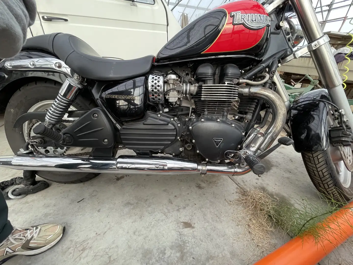 Triumph Speedmaster - 2