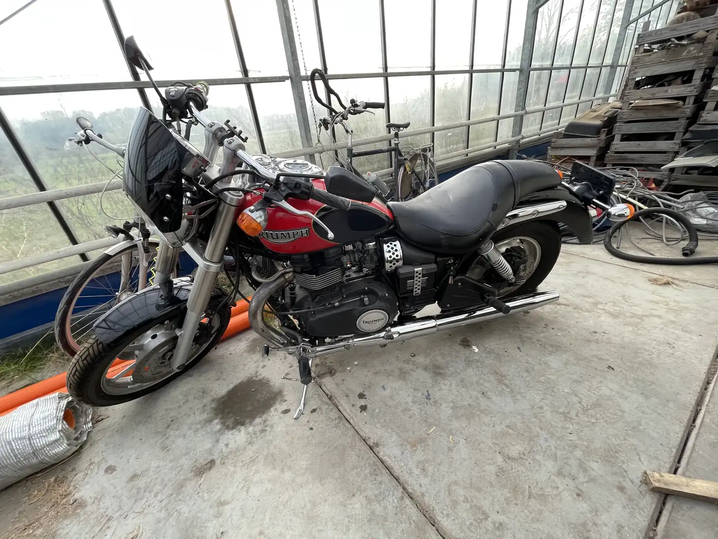Triumph Speedmaster - 1