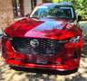 Mazda CX-60 CX-60 AWD PHEV Aut. HOMURA - FULL OPTION + PANO! Rood - thumbnail 1