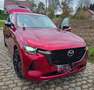 Mazda CX-60 CX-60 AWD PHEV Aut. HOMURA - FULL OPTION + PANO! Rood - thumbnail 6