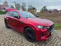 Mazda CX-60 CX-60 AWD PHEV Aut. HOMURA - FULL OPTION + PANO! Rood - thumbnail 3