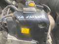 Fiat Grande Punto 1.2 5 porte Actual NEOPATENTATI Gris - thumbnail 14