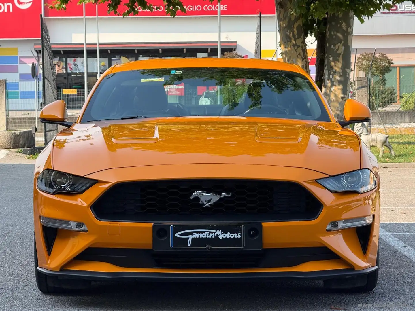 Ford Mustang Fastback 2.3 EcoBoost aut. 10 MARCE - CARFAX PULIT Arancione - 2