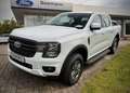 Ford Ranger 2,0 l EcoBlue Doppelkabine Autm. XLT Weiß - thumbnail 1