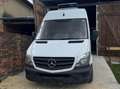 Mercedes-Benz Sprinter Sprinter 313 CDI/32 KA Weiß - thumbnail 1