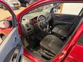 Suzuki Celerio 1.0 Comfort 5-drs Airco Rood - thumbnail 9