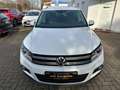 Volkswagen Tiguan Cup Sport & Style BMT/NAVI/SHZ/AHK/GJR Weiß - thumbnail 3