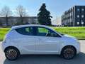 Lancia Ypsilon Ypsilon 1.2 **NEOPATENTATI** Blu/Azzurro - thumbnail 6