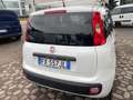 Fiat Panda VAN 85 CV 4X4 2P Bianco - thumbnail 4