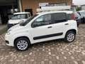 Fiat Panda VAN 85 CV 4X4 2P Bianco - thumbnail 1