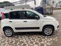 Fiat Panda VAN 85 CV 4X4 2P Bianco - thumbnail 2