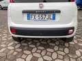 Fiat Panda VAN 85 CV 4X4 2P Bianco - thumbnail 5