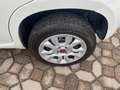 Fiat Panda VAN 85 CV 4X4 2P Bianco - thumbnail 7