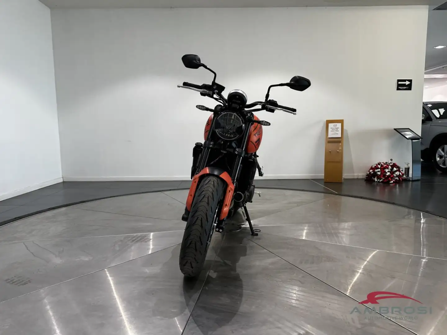 Triumph Trident 660 660 Rouge - 2