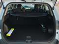 Kia Sportage 1.6 T-GDi HEV 158kW (215CV) Drive 4x2 Blanc - thumbnail 21