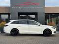 SEAT Leon Sportstourer Reference Ecc-AppleCarplay-Cruise Weiß - thumbnail 4
