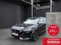 CUPRA Formentor 2.0 TSI VZ DSG LED RFK Navi SHZ ACC 19" Schwarz - thumbnail 1