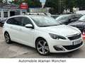Peugeot 308 2.0 TDI SW Allure Automatik, Leder, Panorama Weiß - thumbnail 4