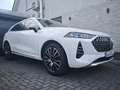 GWM WEY 05 Luxury AWD 3 Motoren 476 PS -  150 km elektrisch - thumbnail 7