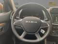 Dacia Spring Electric Extreme 65 Einparkhilfe Weiß - thumbnail 10