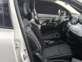 Fiat 500X 1.0 T3 120 CV City Cross Bianco - thumbnail 13