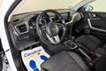 Kia Ceed / cee'd Tourer 1.6CRDi Eco-Dynamics Drive 115 Blanc - thumbnail 20