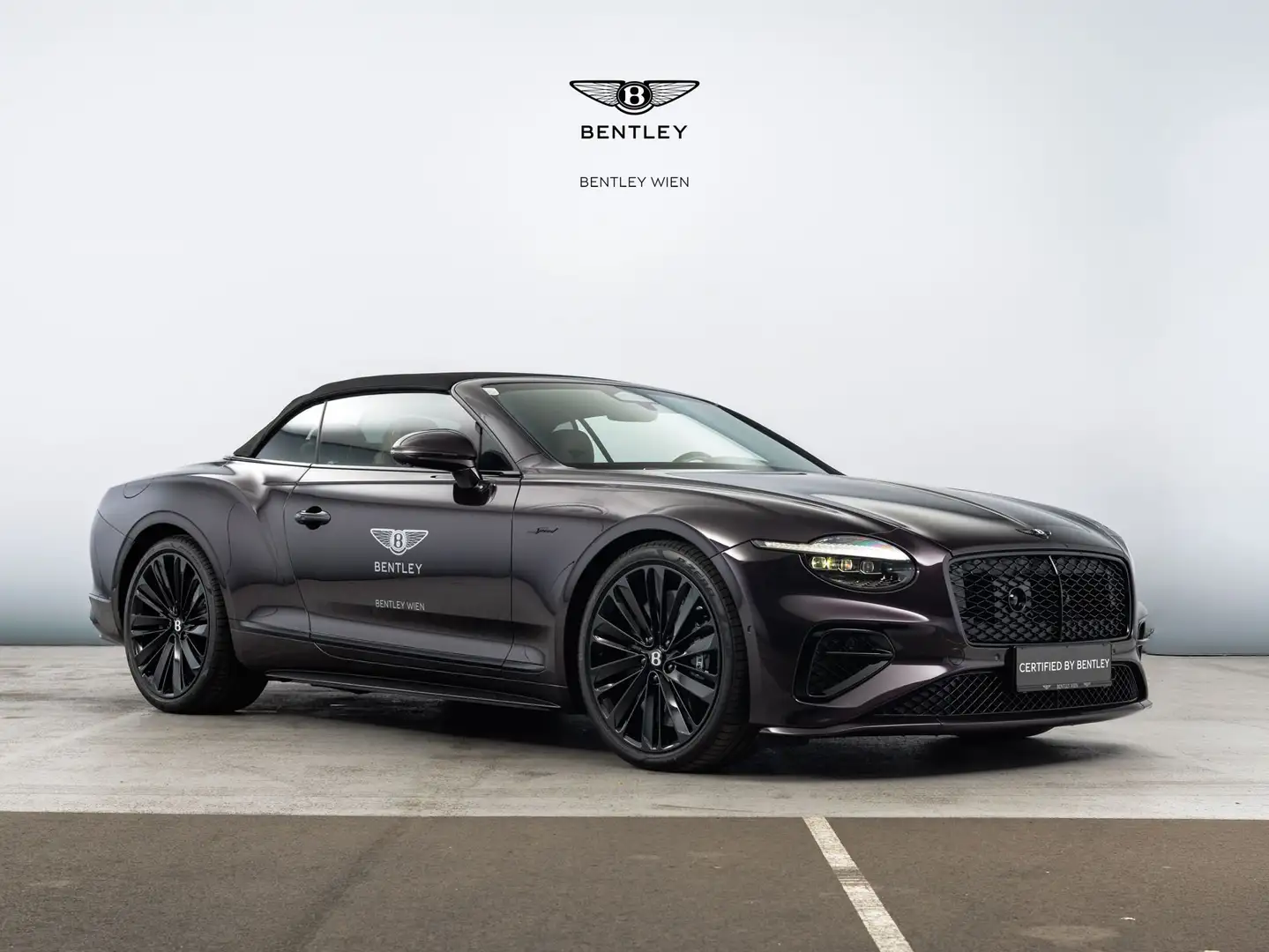 Bentley Continental GTC Speed Violett - 1