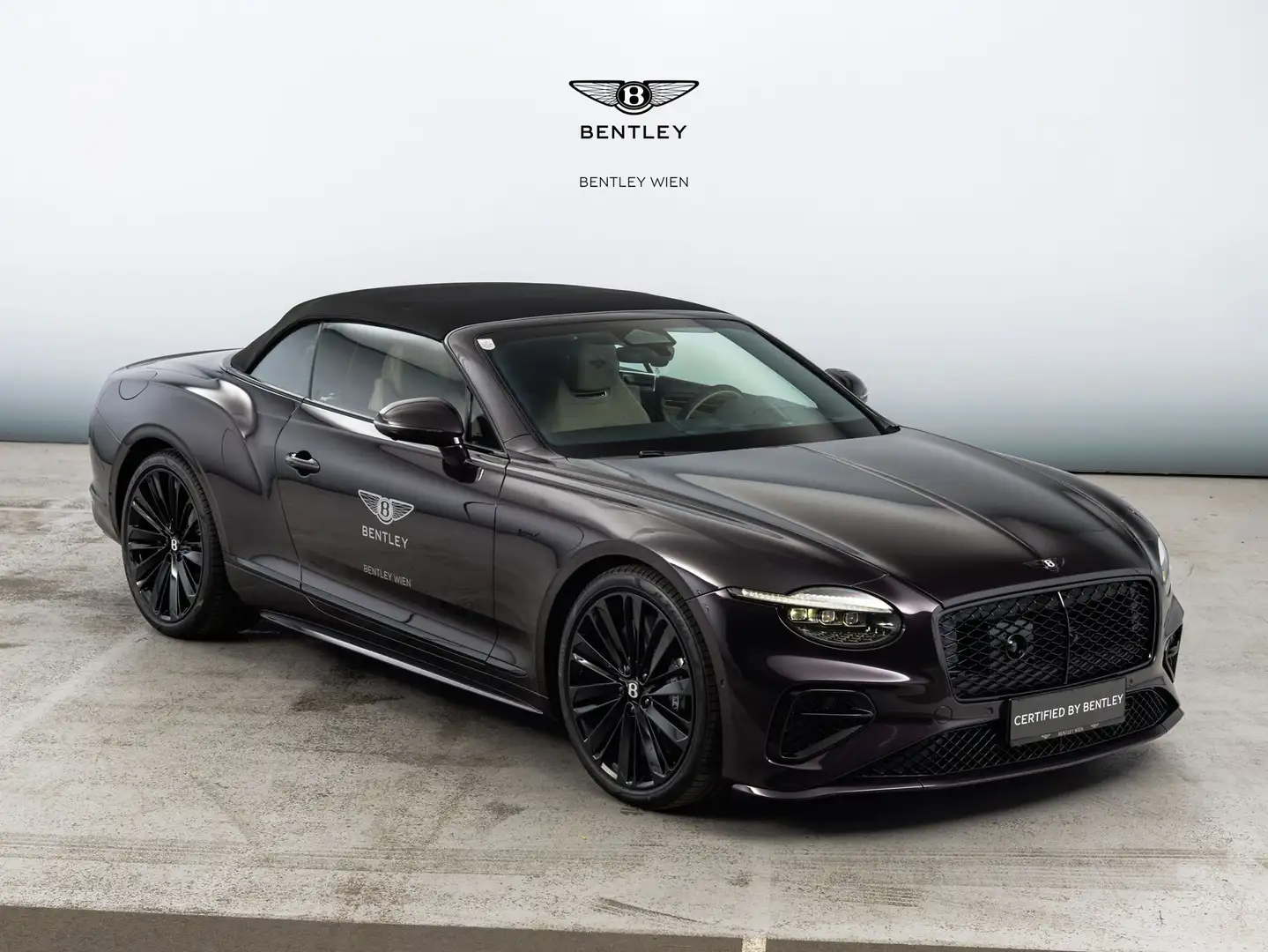 Bentley Continental GTC Speed Violett - 2