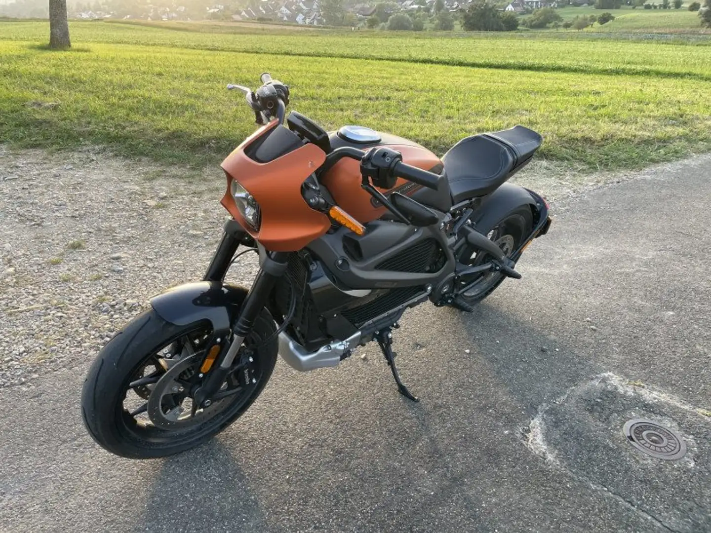Harley-Davidson LiveWire ELW Naranja - 2