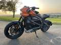 Harley-Davidson LiveWire ELW Naranja - thumbnail 1