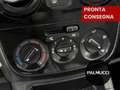 Fiat Qubo QUBO 1.3 MJT 80 CV Lounge - thumbnail 11