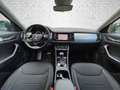 Skoda Kodiaq 2.0 TDI 4x4 DSG - Tour ACC LED RFK Grau - thumbnail 13