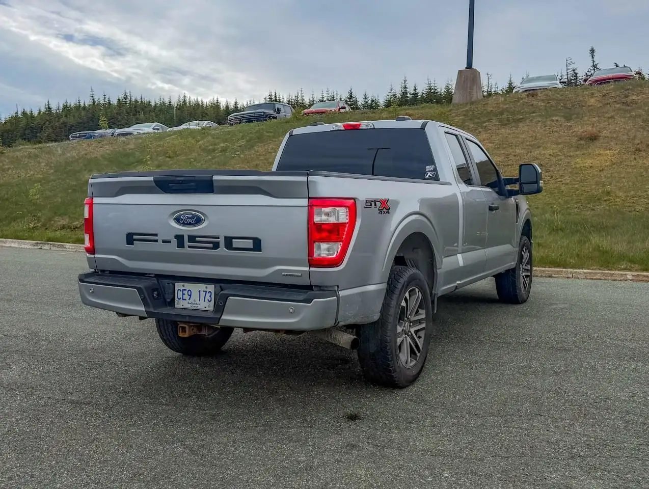 Ford F 150 снимка Ford F 150