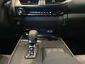 Lexus UX 300h F Sport 2WD Blau - thumbnail 18