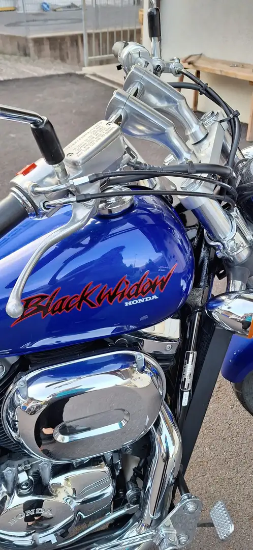 Honda Black Widow Blauw - 2