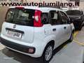 Fiat Panda Panda 1.3 mjt 16v Easy 75cv E5+ Bianco - thumbnail 4