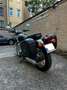 Kawasaki W 800 Kawasaki W800 – 2011 – Vert foncé métallisé Verde - thumbnail 7