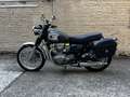Kawasaki W 800 Kawasaki W800 – 2011 – Vert foncé métallisé Verde - thumbnail 1